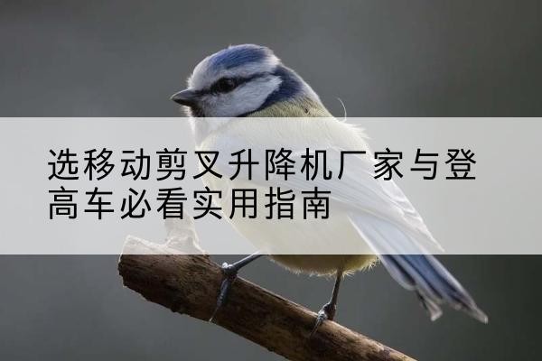 建华电动升降机厂家-选移动剪叉升降机厂家与登高车必看实用指南