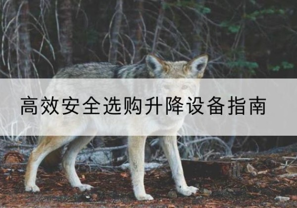 建华升降货梯厂家推荐-*安全选购升降设备指南